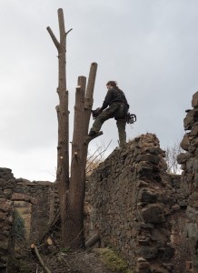 17 Dokončení vyřezání náletových dřevin ve farním areálu ve Svatoboru       
